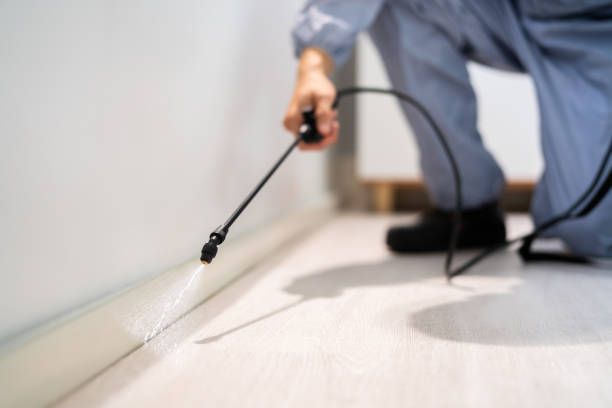 Rodent Entry Point Assessment in Fairview Shores