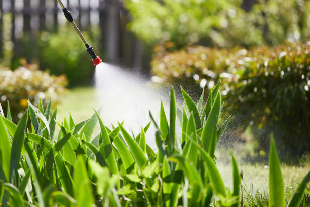 Tamper-Resistant Bait Stations for Rodents in Fairview Shores