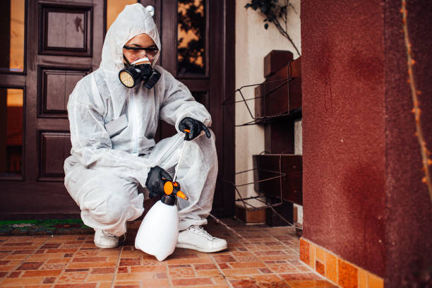 Attic and Crawl Space Rodent Treatment in Fairview Shores