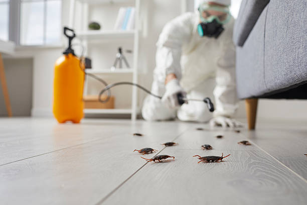 Commercial Rodent Management in Fairview Shores